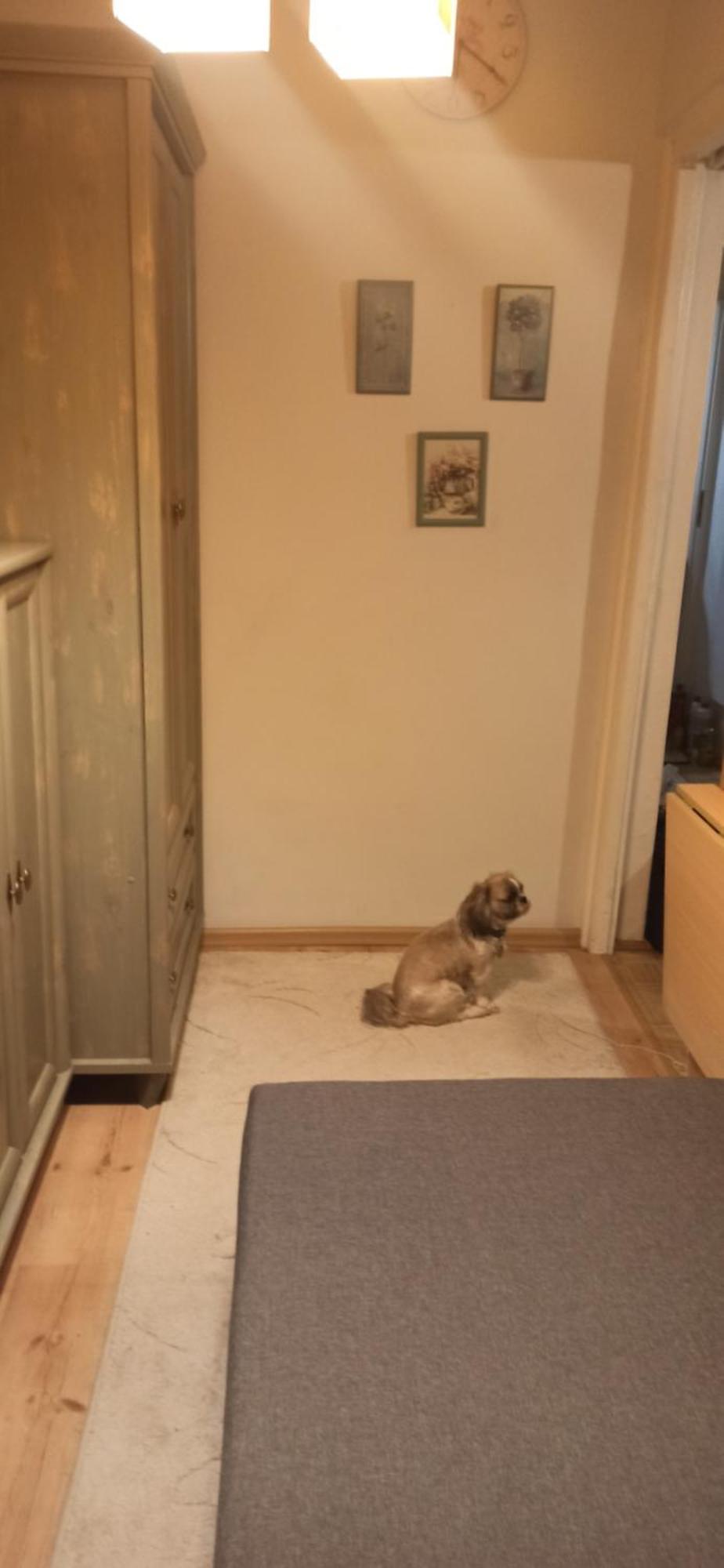 Ferienwohnung Cichy Zakatek Kolberg Exterior foto